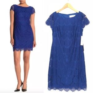 NEW Eliza J Royal Blue Cap Sleeve Lace Shift Dress
